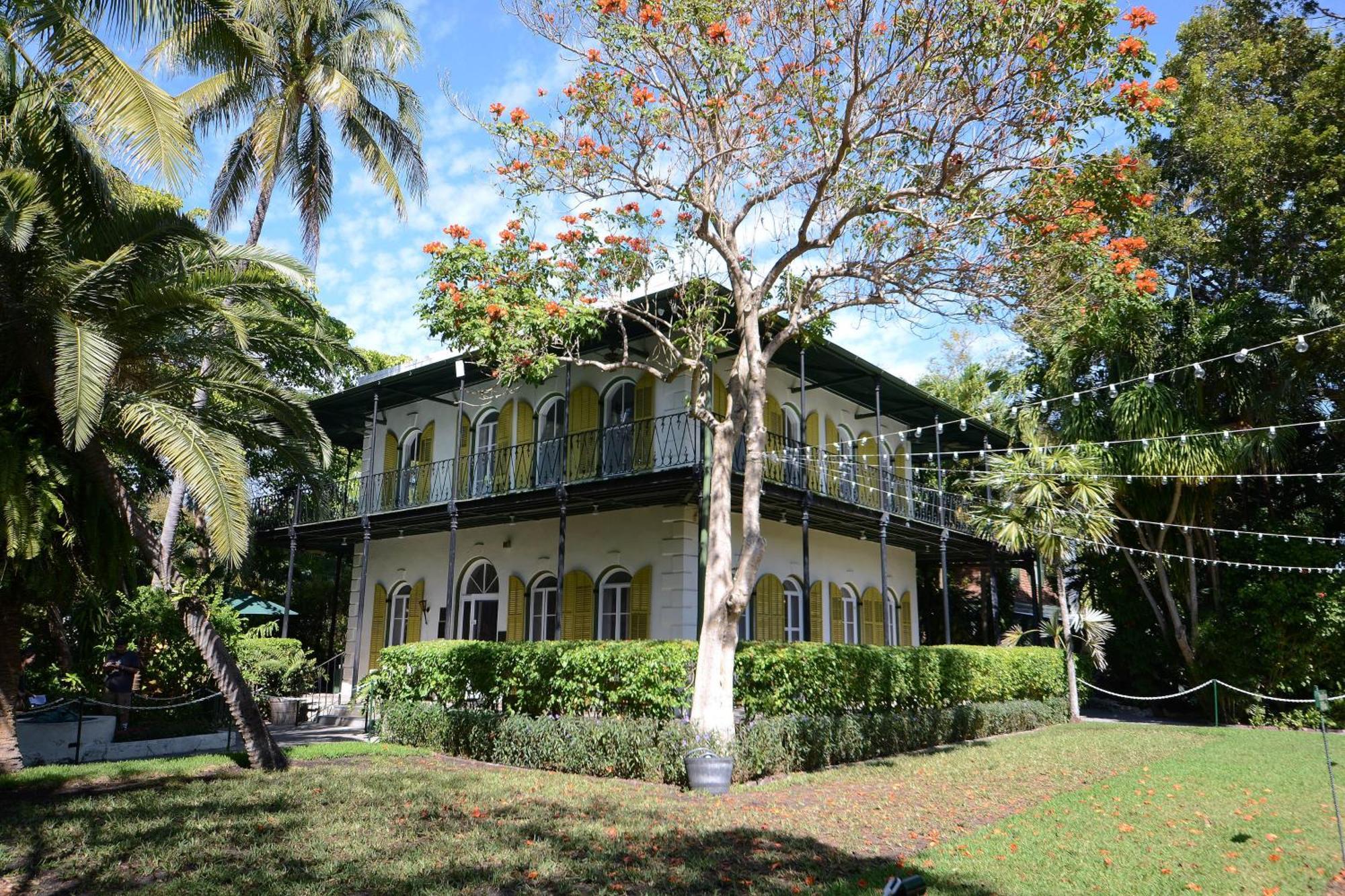 Pescado Penthouse On Duval Villa Key West Værelse billede